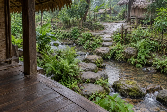 หินทางเดินข้างลำธารและเฟิร์น