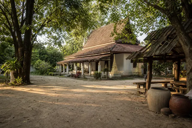 ภาพประกอบลานวัดชนบทอีสานใต้ร่มไม้ในยามบ่าย