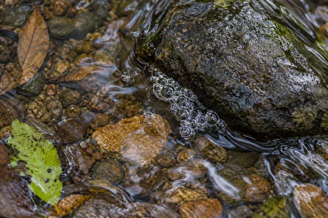 ฟองเล็กในลำธารข้างหิน ชวนรู้สุขที่เกิดแล้วเปลี่ยนไป