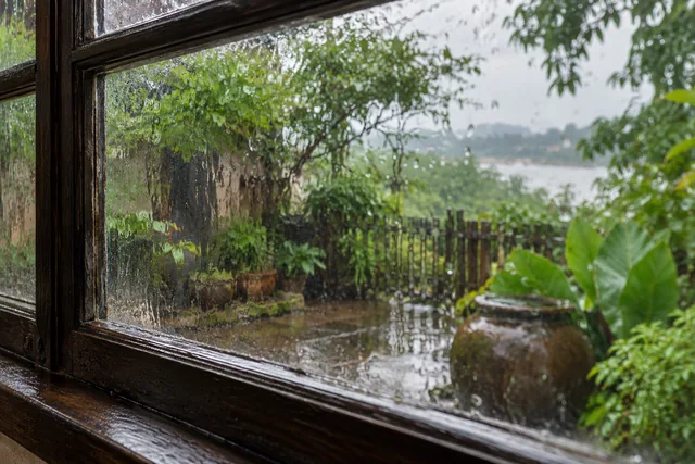หยดฝนบนกระจกทำให้ภาพสวนเปลี่ยนรูป ชวนแยกสิ่งที่เห็นจากข้อสรุป